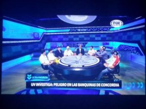 CONCORDIA: ¿APROBADO?