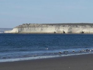 SE PRESENTA LA CARRERA DE COMODORO 